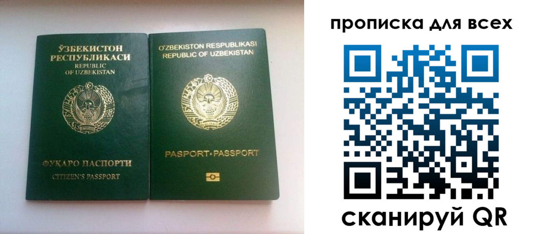 прописка для школы в Алагире